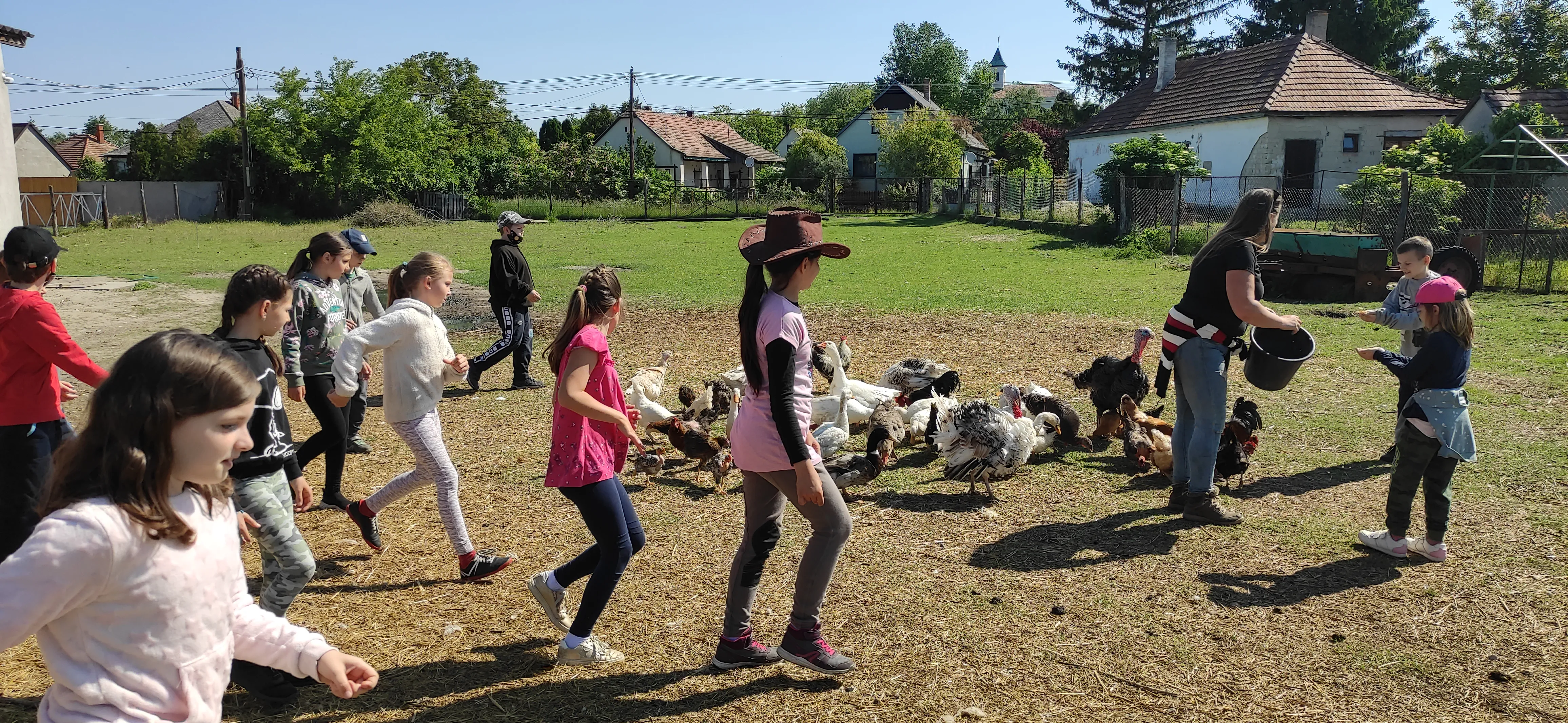 Körbe vezetés, állat simogatás baromfiudvar etetés